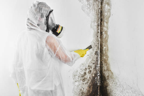 Water Damage Restoration in Titusville, FL