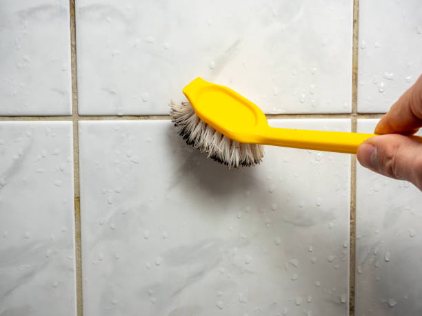 Best Mold Testing  in Titusville, FL