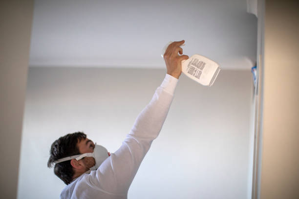 Best Black Mold Removal  in Titusville, FL