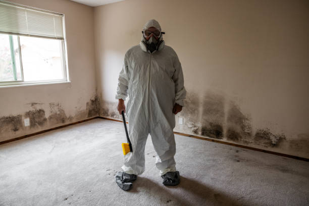 Best Certified Mold Removal  in Titusville, FL